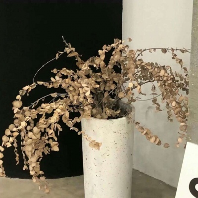 Furry插画背景绘制Furry群